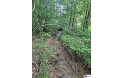 0 Terrill School Road, Greensburg, KY 42743