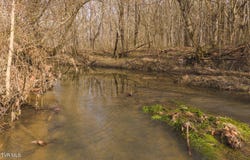 Cherry Street, Rutledge, TN 37861