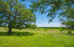 County Rd 535, Evant, TX 76525