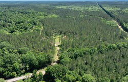 - Three Mile Stretch, Ellisville, MS 39437