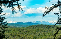 31 Forest Path Drive, Whitefish, MT 59937