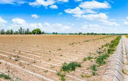 Lance Lane, Parma, ID 83660