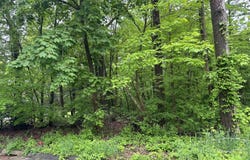 66 Union City Road, Prospect, CT 06712