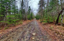 0 Ryan Road, Baileyville, ME 04694