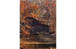 Rt 68/3 Rear, Harts, WV 25524
