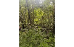 19289 Upland Street, Elk River, MN 55330