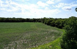 25 Ac FM 3132, Klondike, TX 75448