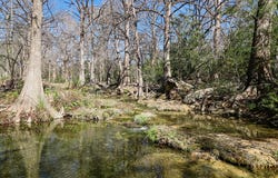 300 MILL RACE Ln, Wimberley, TX 78676