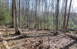 905 EASTOVER Parkway, LOCUST GROVE, VA 22508
