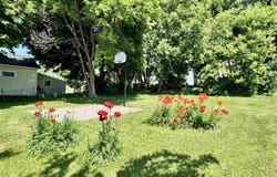 731 Pine, Hancock, MI 49930