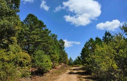 NA 24360, Watson, OK 74963