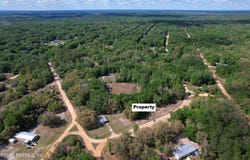 GARDNER Drive, Interlachen, FL 32148