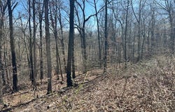 Sanquhar Lane lot: 14, Bella Vista, AR 72715