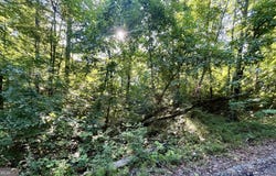 0 Meadowlark, Monticello, GA 31064
