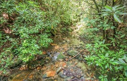 1515 Briartown Church Road, Topton, NC 28781