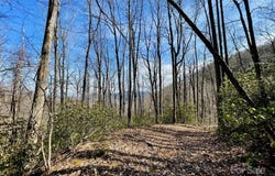 10.02 Acres TBD Rock Garden Road, Black Mountain, NC 28711