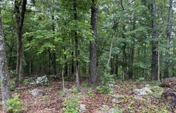 37 Tall Pine Circle, Norfork, AR 72658