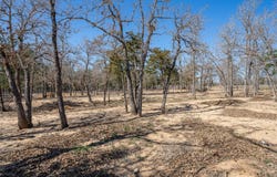 661 Hidden Oak Rd, Dale, TX 78616
