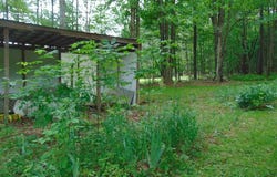 497 Vailtown Rd, Liberty, PA 16930