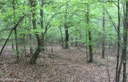 Charlie Boyd Road, Jayess, MS 39641