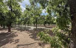 4695 Snow Road, Las Cruces, NM 88005