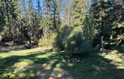 27420 S Hinds Dr., St. Maries, ID 83861