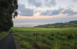 34-4330 PALI NANA RD unit: 1, Papaaloa, HI 96780