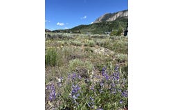509 N Avion Drive, Crested Butte, CO 81224