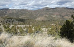 16220 Lost Coyote Lane, Mitchell, OR 97750