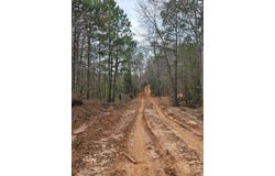 Tbd New Hope Road, Gilmer, TX 75645