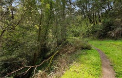 305 Resaca Avenue, San Geronimo, CA 94133