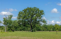 6781 Atakapan Trail, Bedias, TX 77831