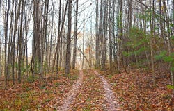 390 Joyful Way, Jumping Branch, WV 25969