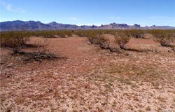 3397 S Signal Road, Golden Valley, AZ 86413