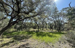 Lot 5 County Road 14, Hallettsville, TX 77964