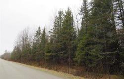 TBD Friday - Q.1 Road, Rapid River, MI 49878