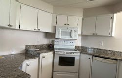 1353 WINDSOR STREET, TAVARES, FL 32778
