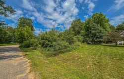 11580 Tanglewood Trail S. #24, Canadian Lakes, MI 49346