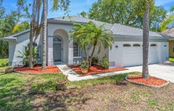 368 TAVERNIER CIRCLE, OLDSMAR, FL 34677