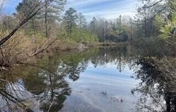 3365 Columbia Highway N, Ridge Spring, SC 29129