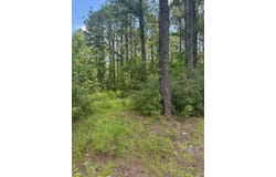 Longleaf Dr, Petal, MS 39465