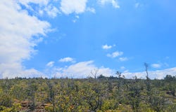 OCEAN VIEW PKWY, Ocean View, HI 96737