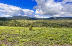39 MOONLIGHT DR, CURLEW, WA 99118