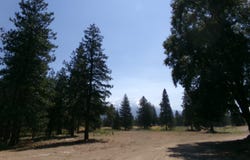 2319 HWY 97, Weed, CA 96094-9526