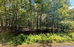 Squirrel Road lot: 427, Dingmans Ferry, PA 18328