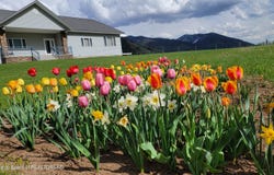 872 SADDLE Drive, Etna, WY 83118