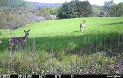 17031 NY 22, Petersburgh, NY 12138