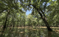 00 70 Highway, Biscoe, AR 72017