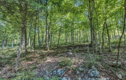 00 Greencastle Road, Bowling Green, KY 42101