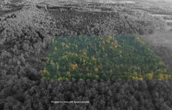 Alexander Lane, Mena, AR 71953